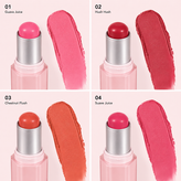 رژگونه استیکی شیگلم